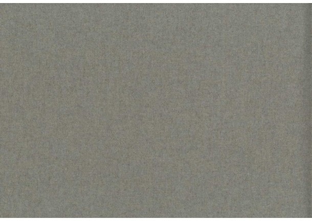MYLAN 432