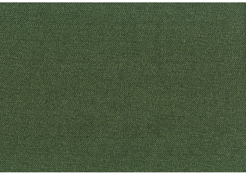 CAMPO 009